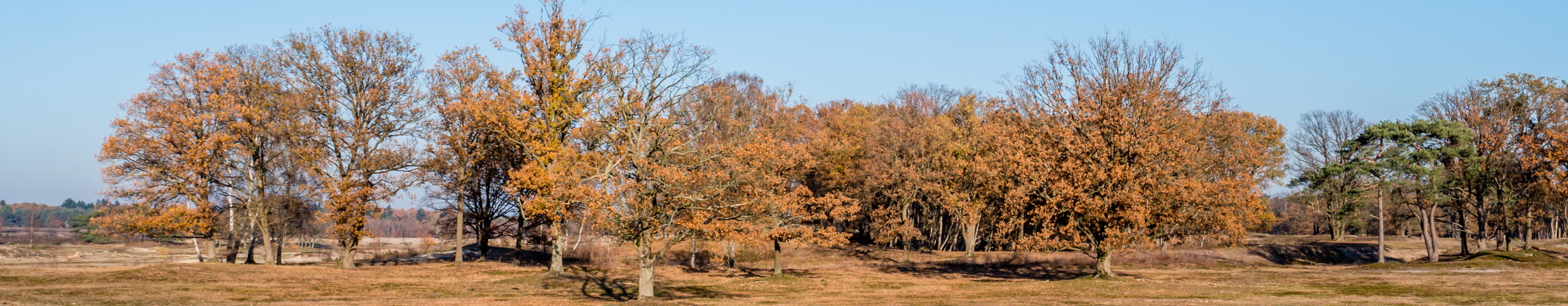 drought.NL