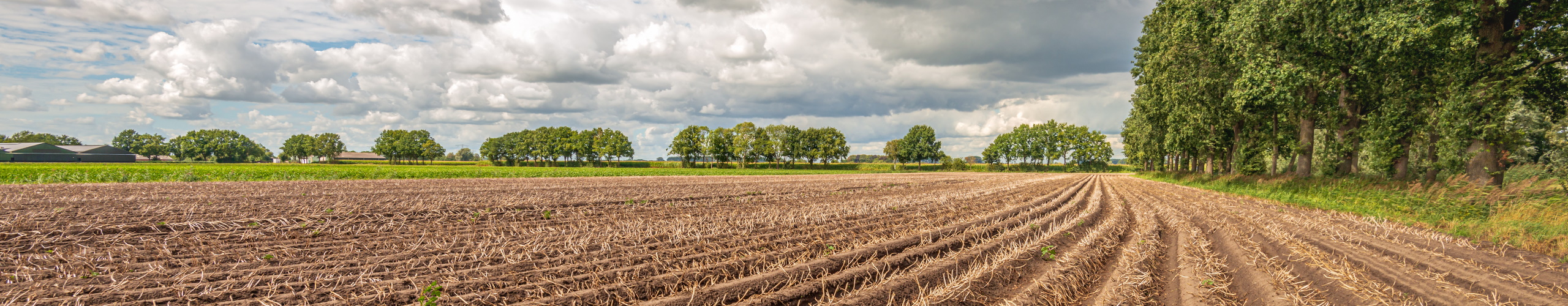 drought.NL